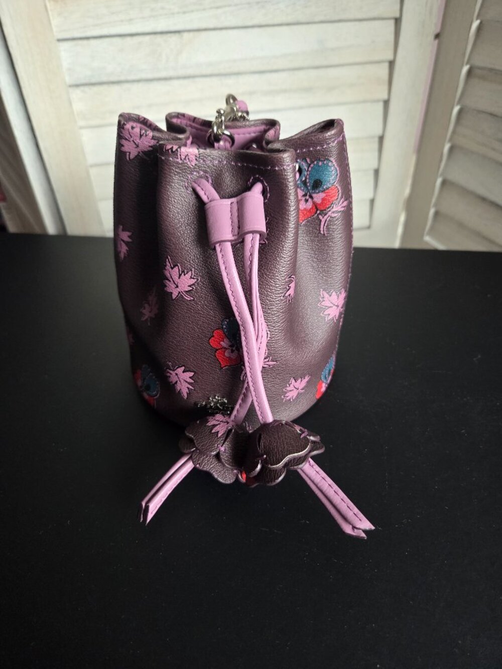 Coach mini drawstring bag
